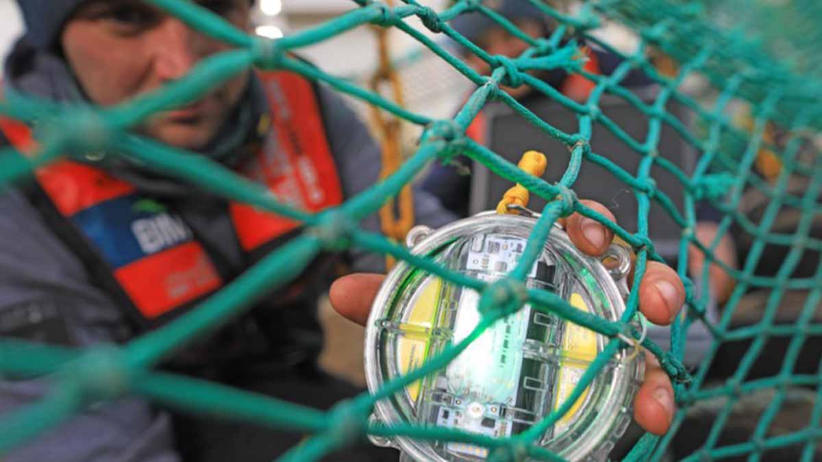 The Role of Technology in Sustainable Fishing