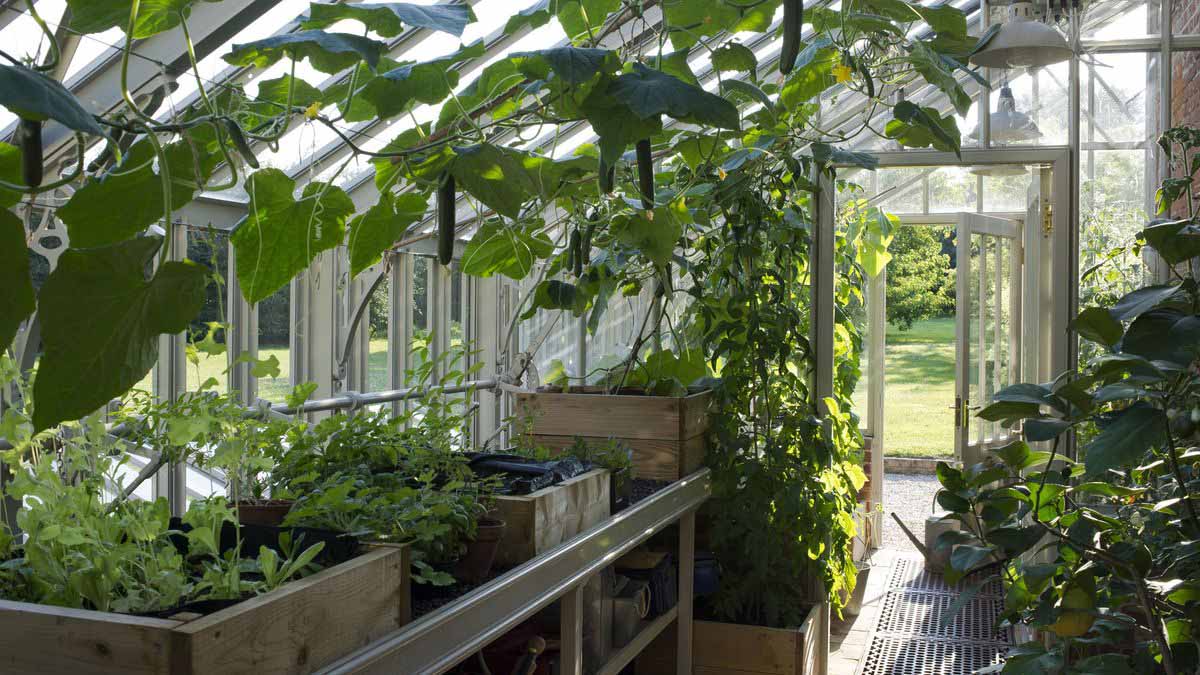 Effective Greenhouses