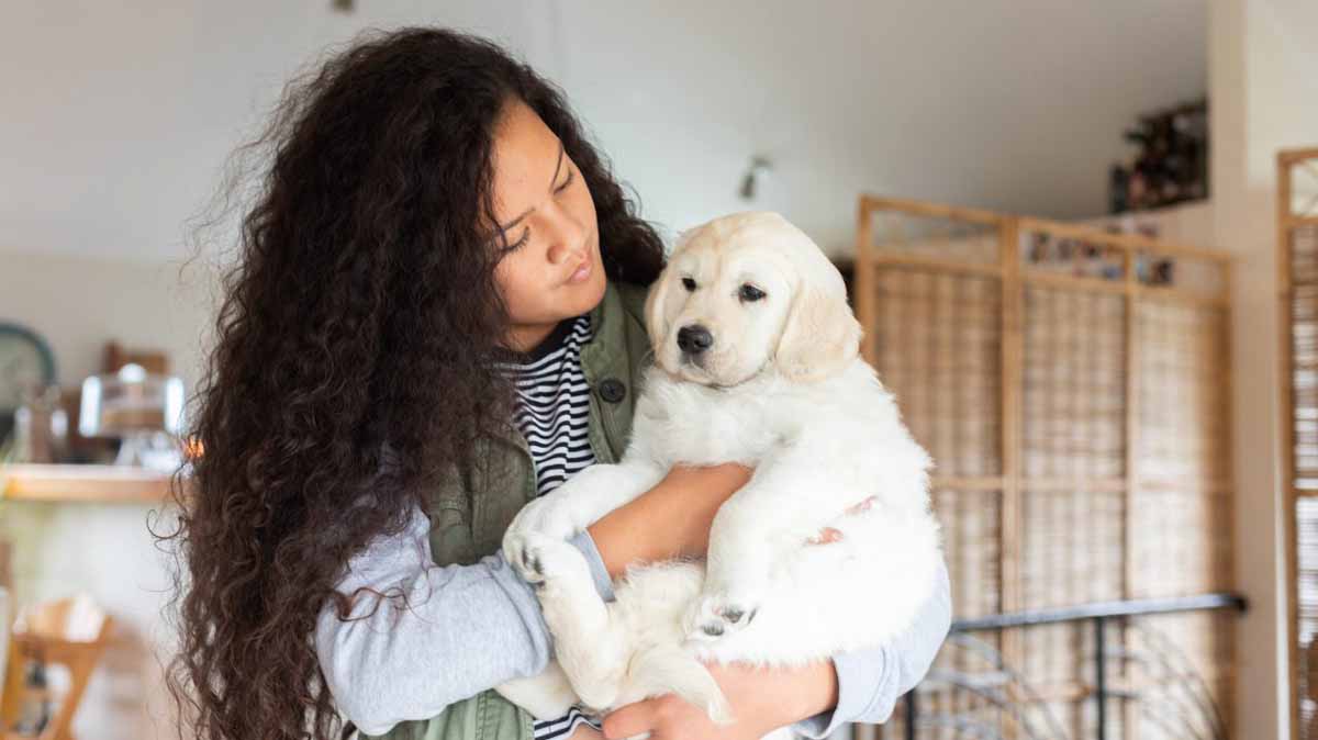 First-Time Puppy