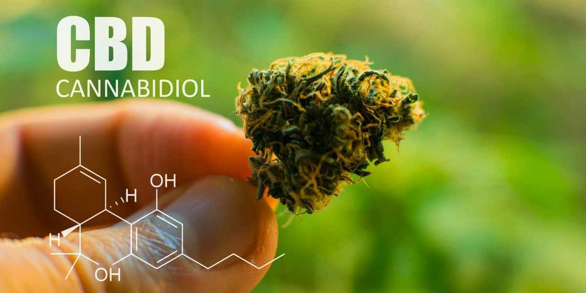 Health Advantages of CBD