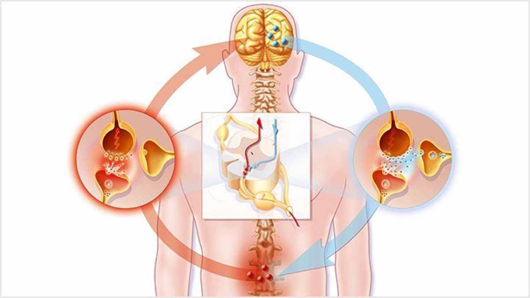 Pain Symptoms