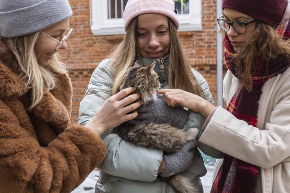 Practical Guide for Aspiring Cat Rescuers