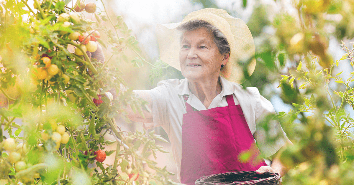 4 Trends in Senior Living: Shaping the Future of Care 2 Living Personalized Wellness Programs for Seniors