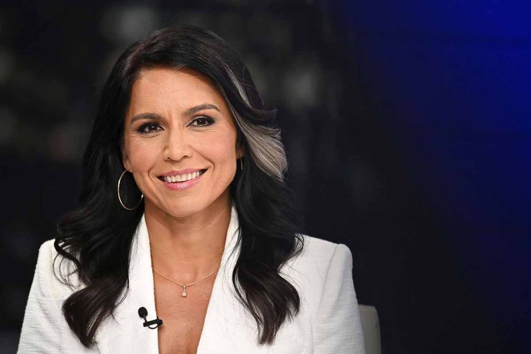Tulsi Gabbard Net Worth