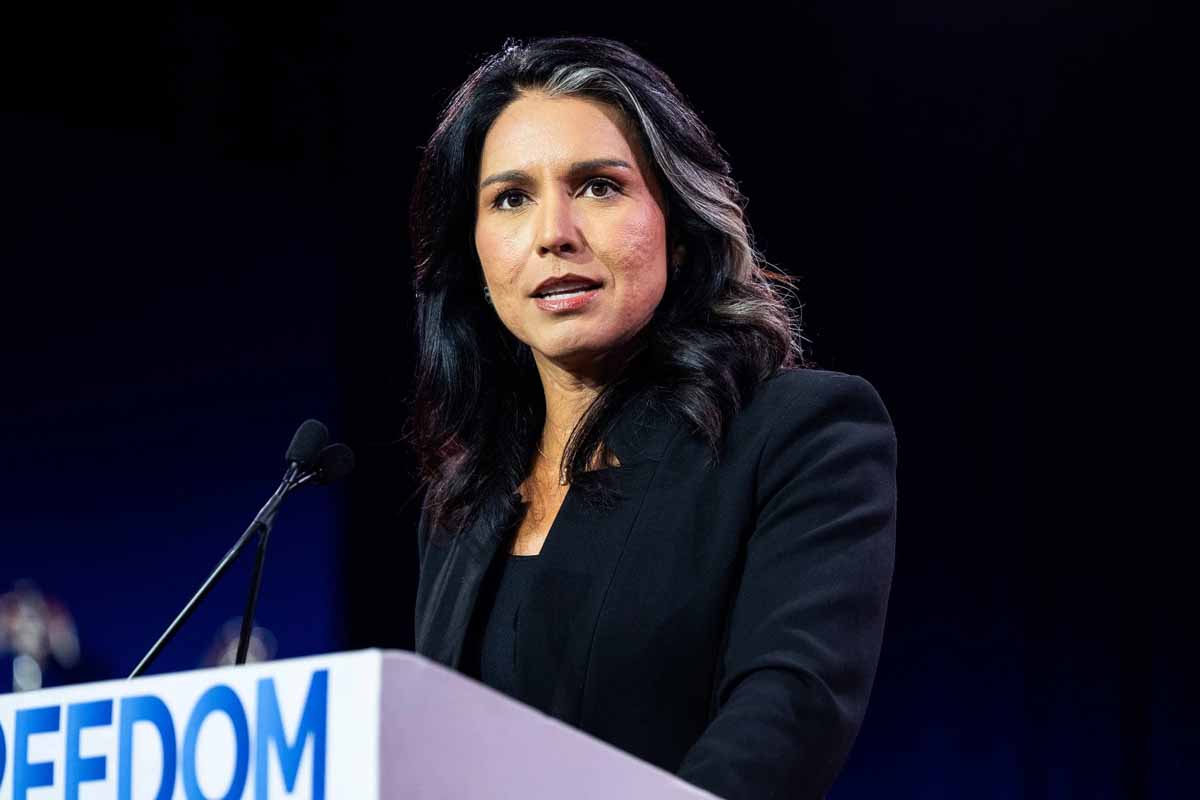 Tulsi Gabbard Net Worth: A Clear Look at Her Wealth and Income 1 Tulsi Gabbard Relationship